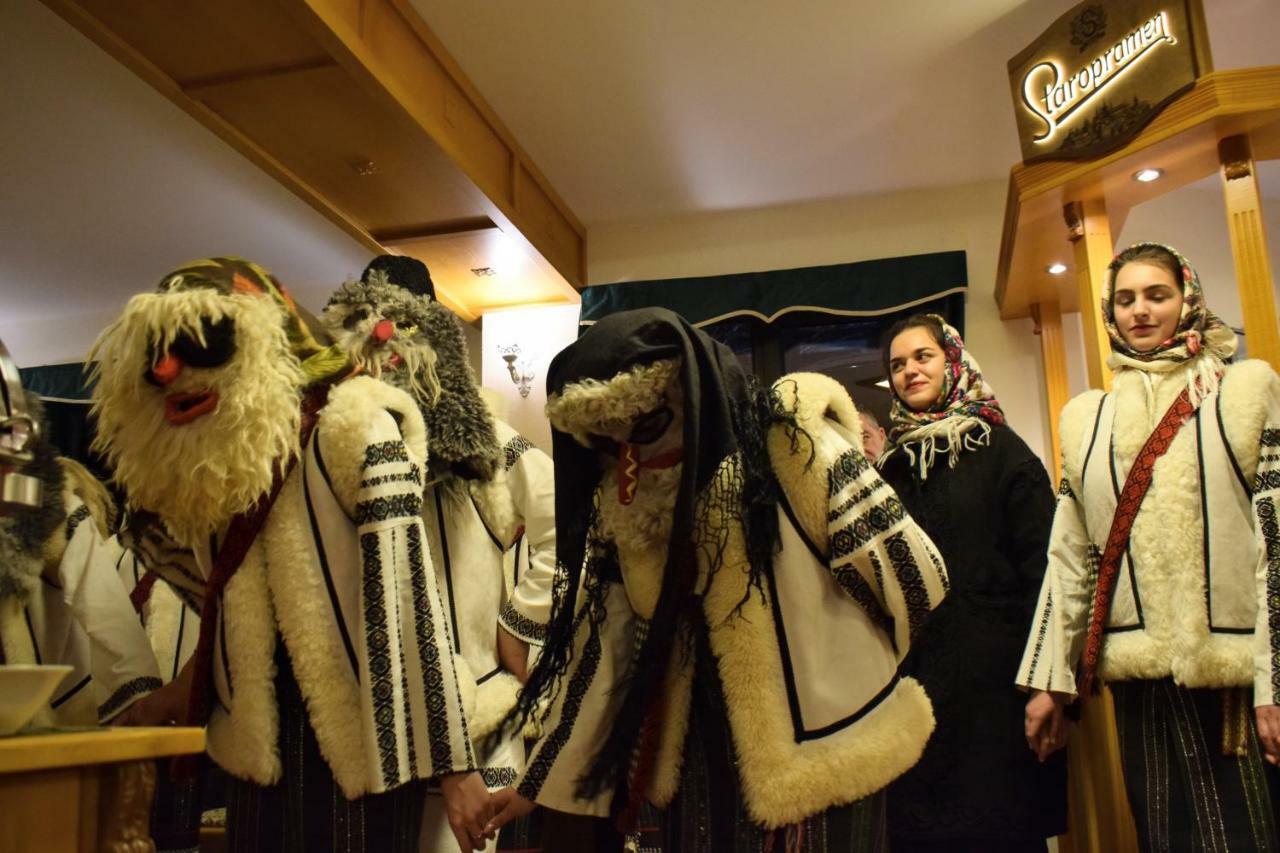 Vila Seva Dornavátra Kültér fotó