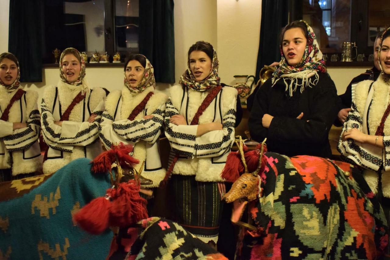 Vila Seva Dornavátra Kültér fotó